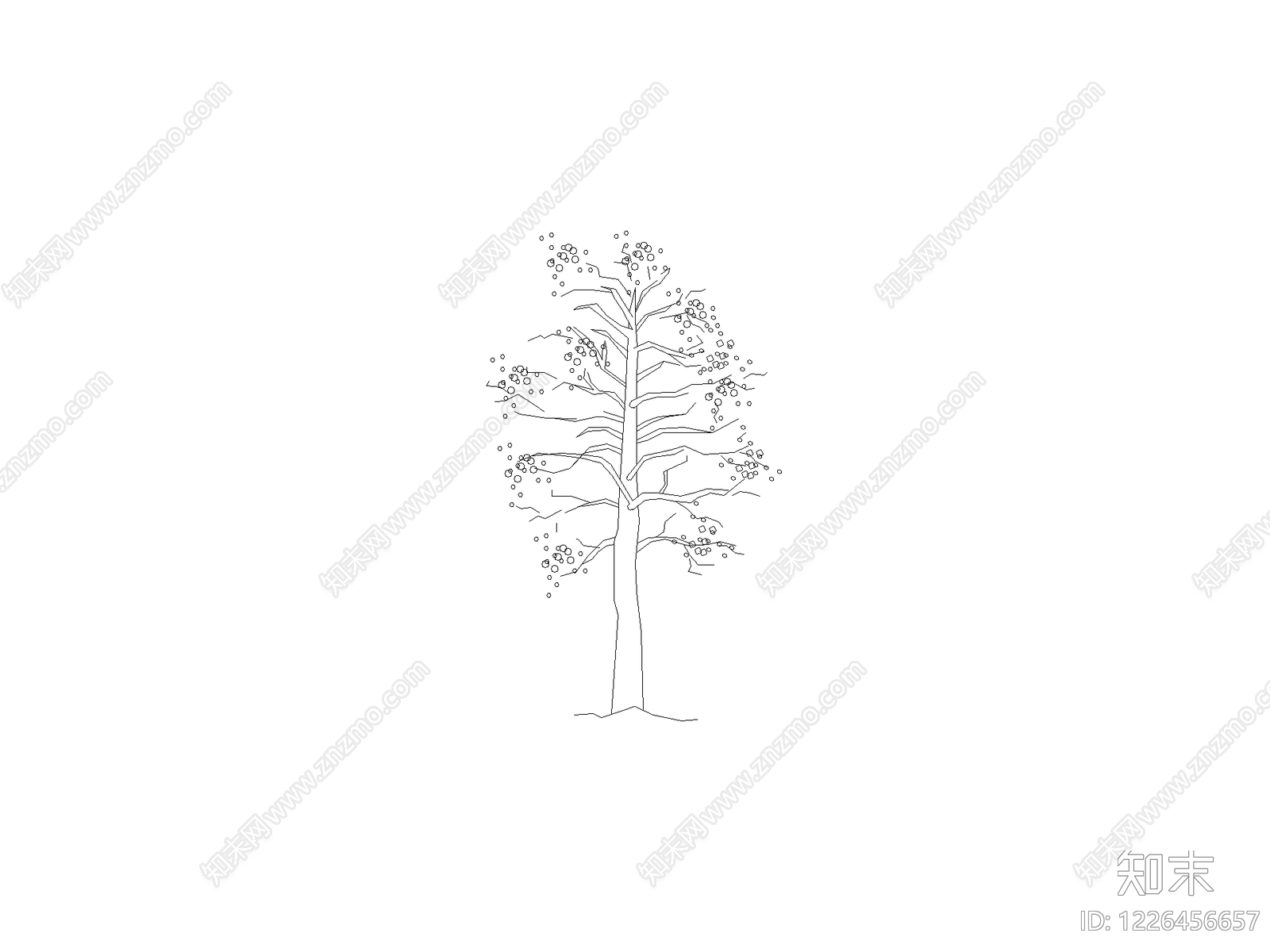 乔木种植CAD图纸