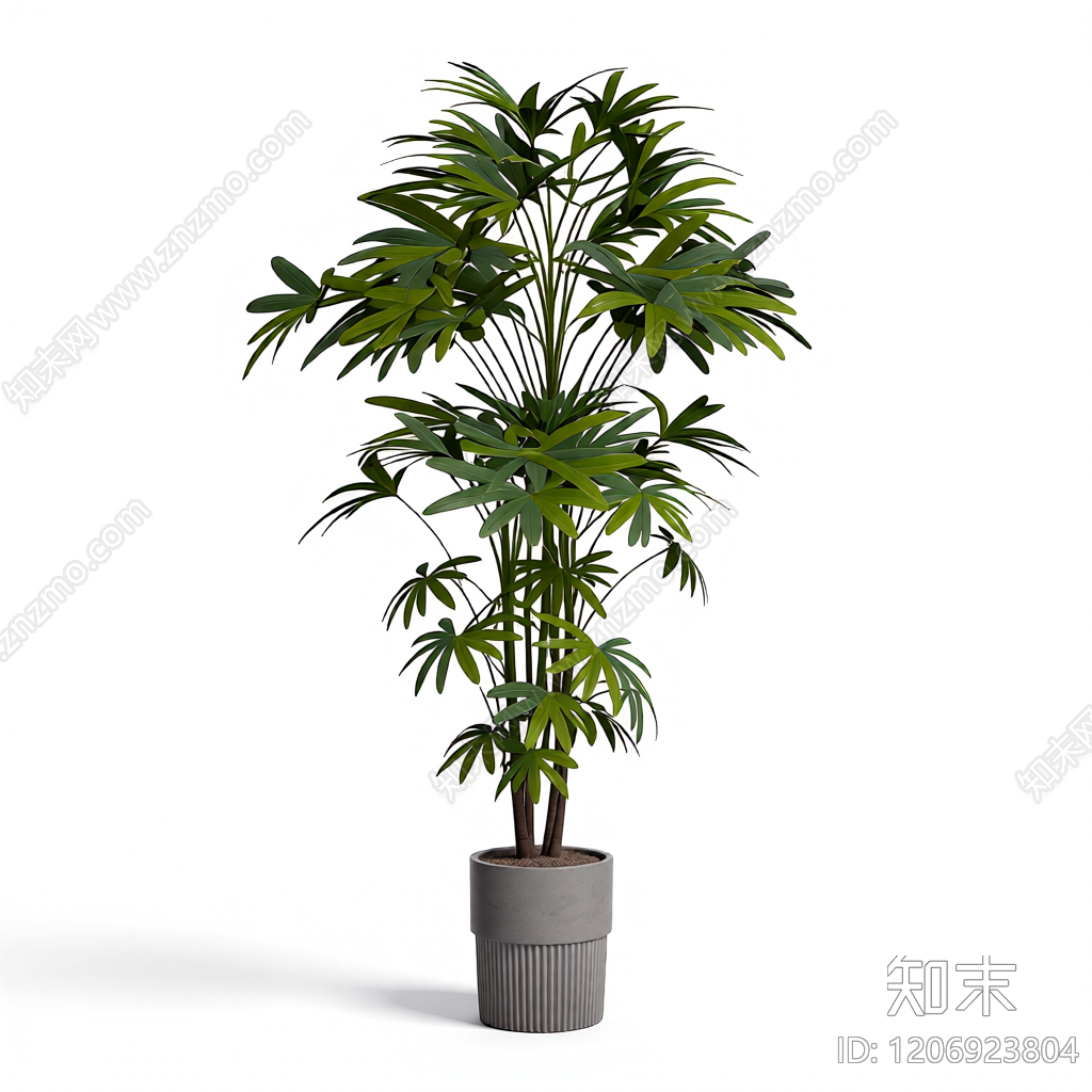 盆栽植物装饰3D模型下载【ID:1206923804】
