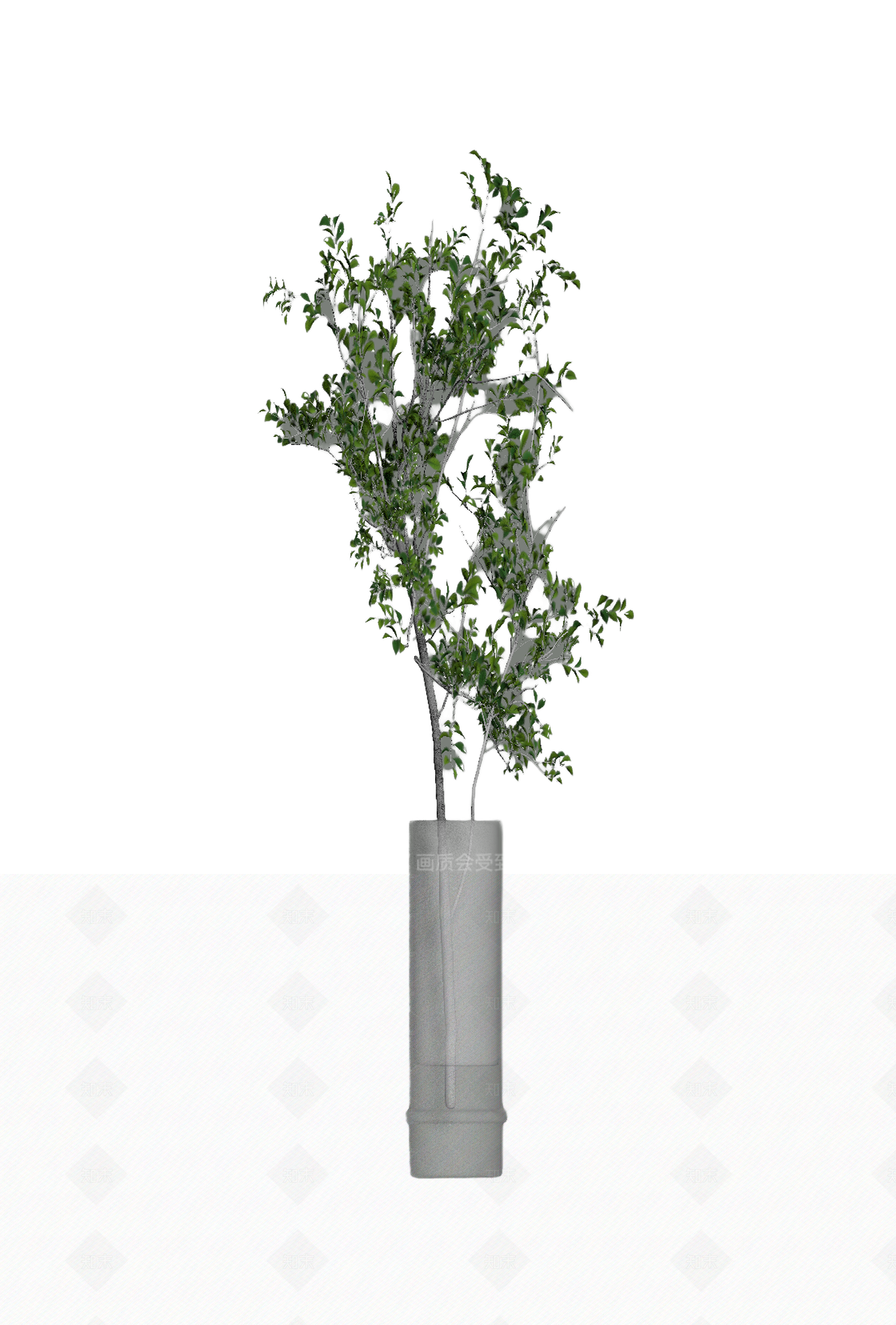 带盆枝叶装饰植物3D模型下载【ID:1206181704】