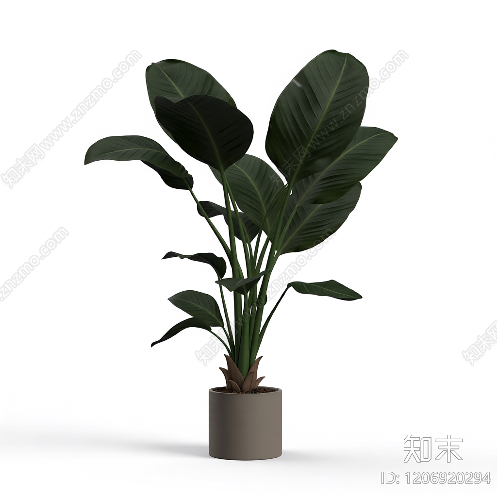 盆栽植物装饰3D模型下载【ID:1206920294】