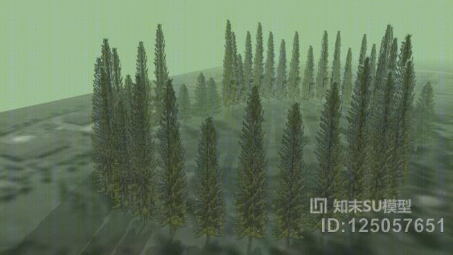 毛乌素松树SU模型下载【ID:125057651】