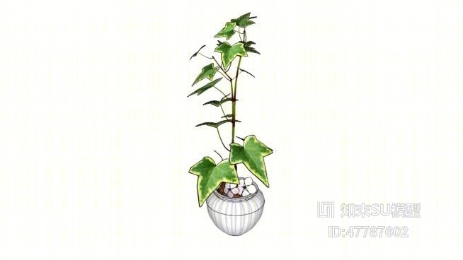 盆栽SU模型下载【ID:47787602】