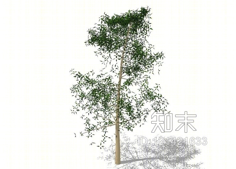 3D植物树SU模型下载【ID:121421633】