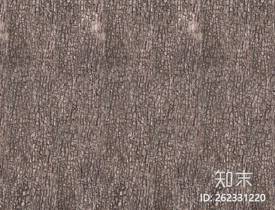树皮贴图下载【ID:262331220】