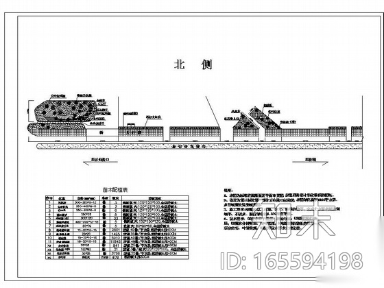 某道路绿化竣工图施工图下载【ID:165594198】