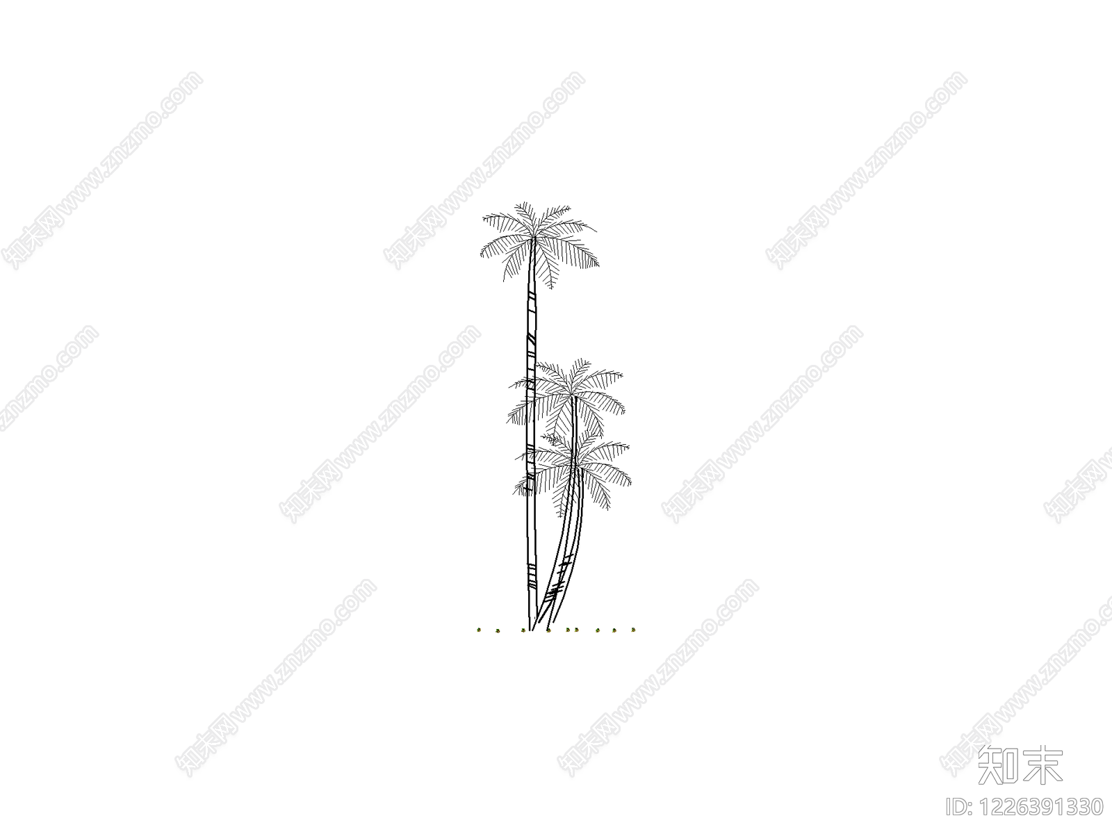 乔木种植CAD图纸