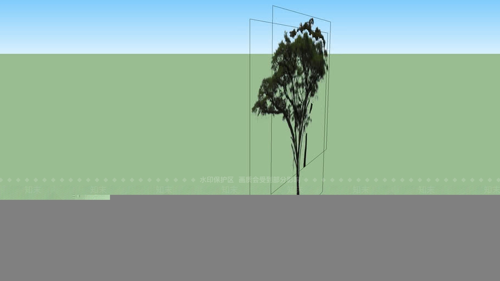 非洲热带稀树草原的伞状荆棘树SU模型下载【ID:1162231403】