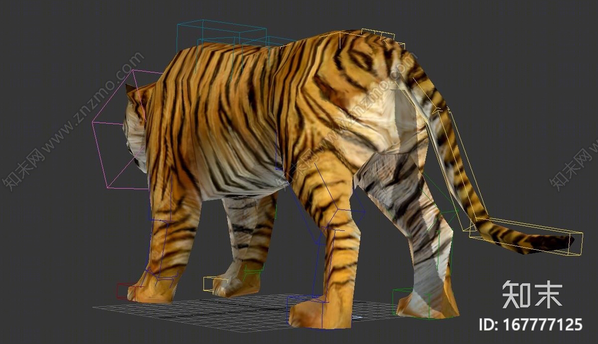 低模老虎带绑定3d模型下载【id:167777125】