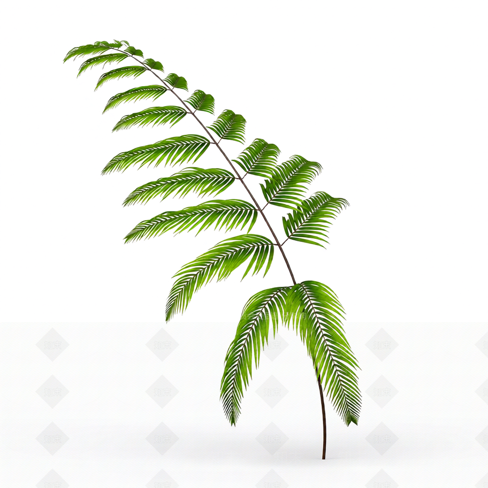 绿色枝叶植物模型3D模型下载【ID:1206186931】