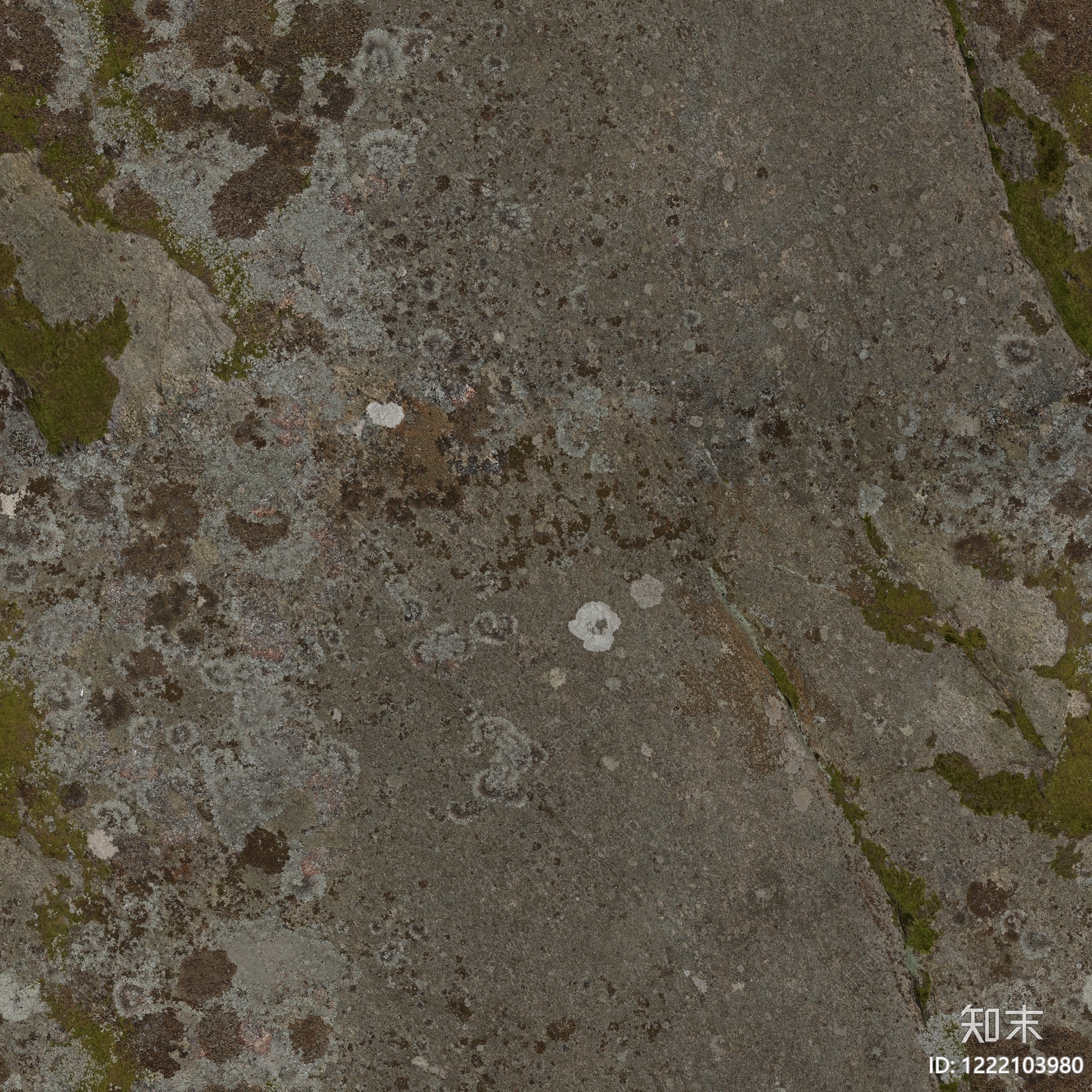 自然地面贴图下载【ID:1222103980】