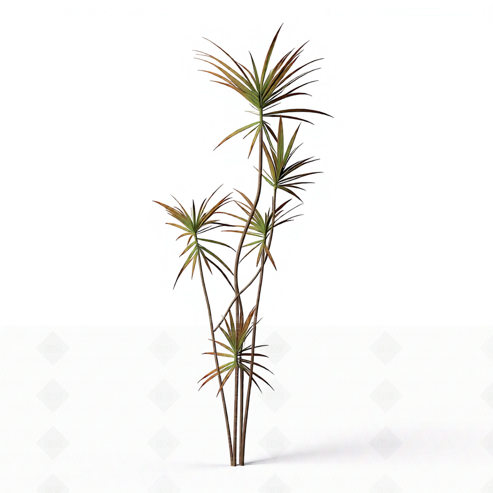 多枝棕榈植物模型3D模型下载【ID:1206191758】