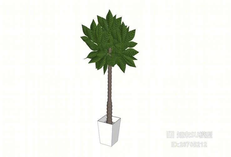 精品免费室内盆栽SU模型下载【ID:26705212】
