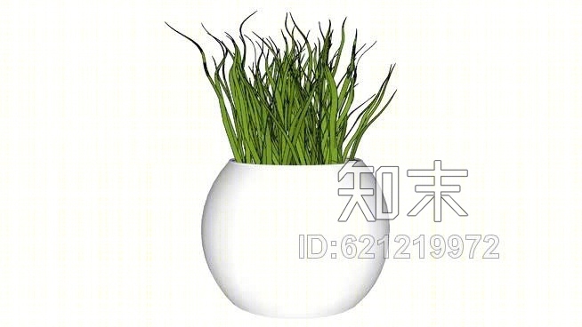 植物内部SU模型下载【ID:621219972】