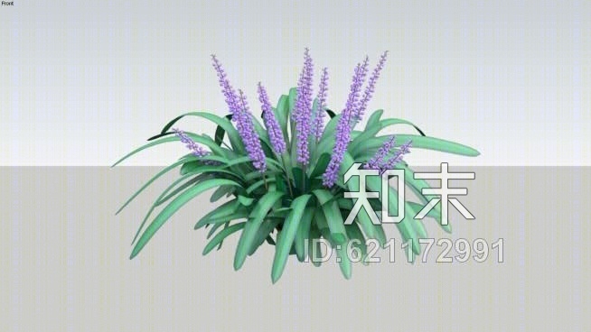 麦冬变异2DY01SU模型下载【ID:621172991】