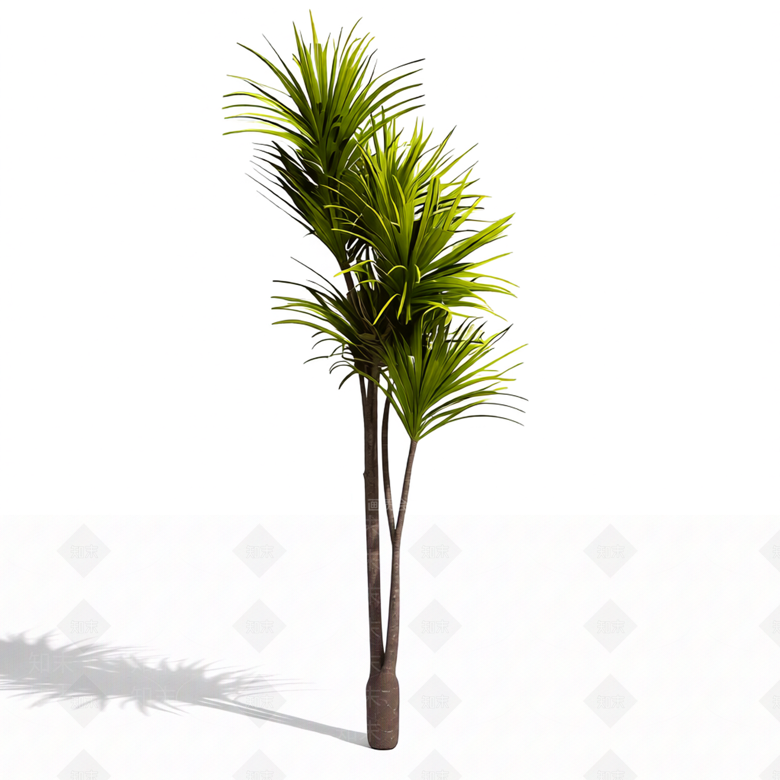 带叶棕榈树模型3D模型下载【ID:1206184029】