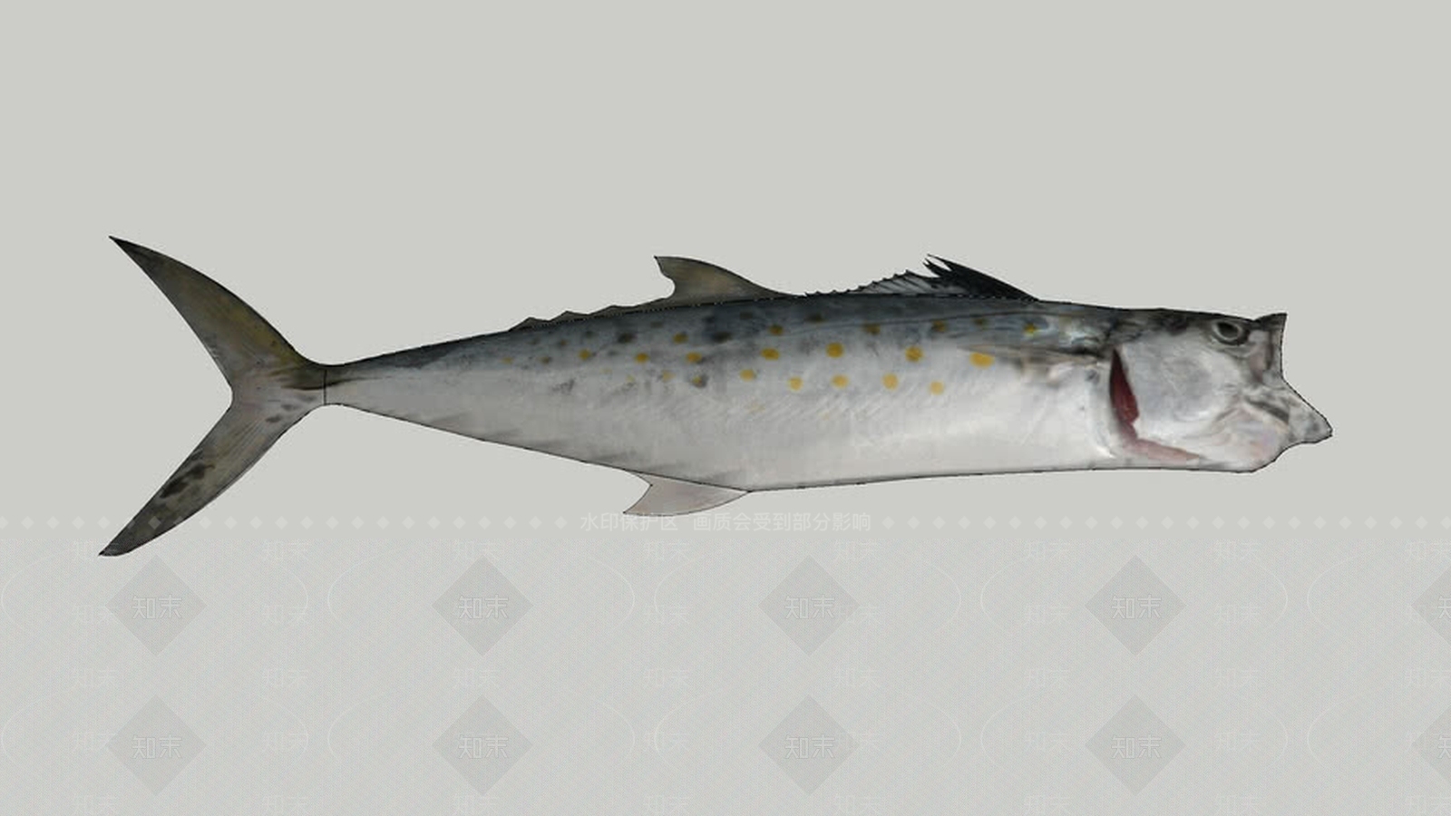 鲭鱼SU模型下载【ID:1162062758】