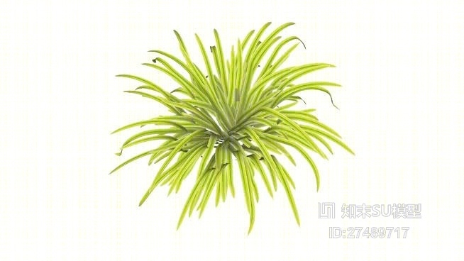草SU模型下载【ID:218056160】