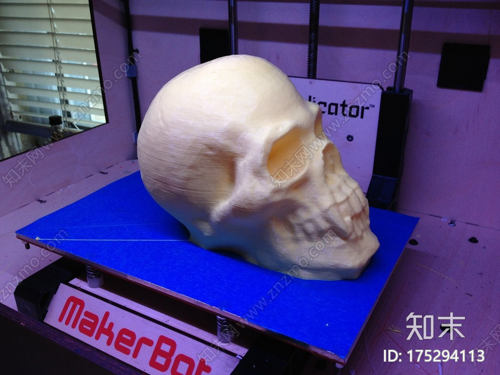 带尖牙的骷髅头3d打印模型下载【ID:175294113】