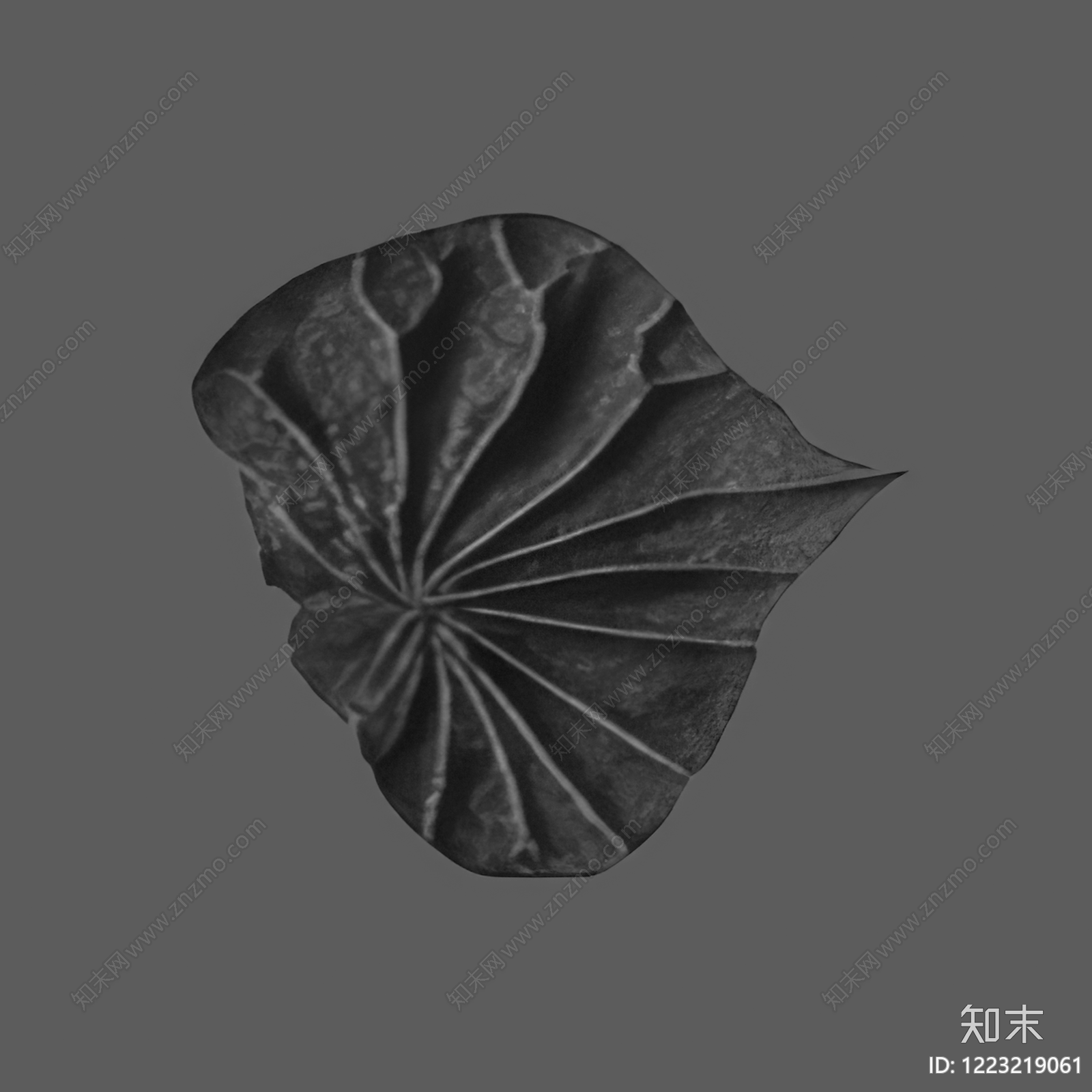 干枯植物纹理高清贴图材质