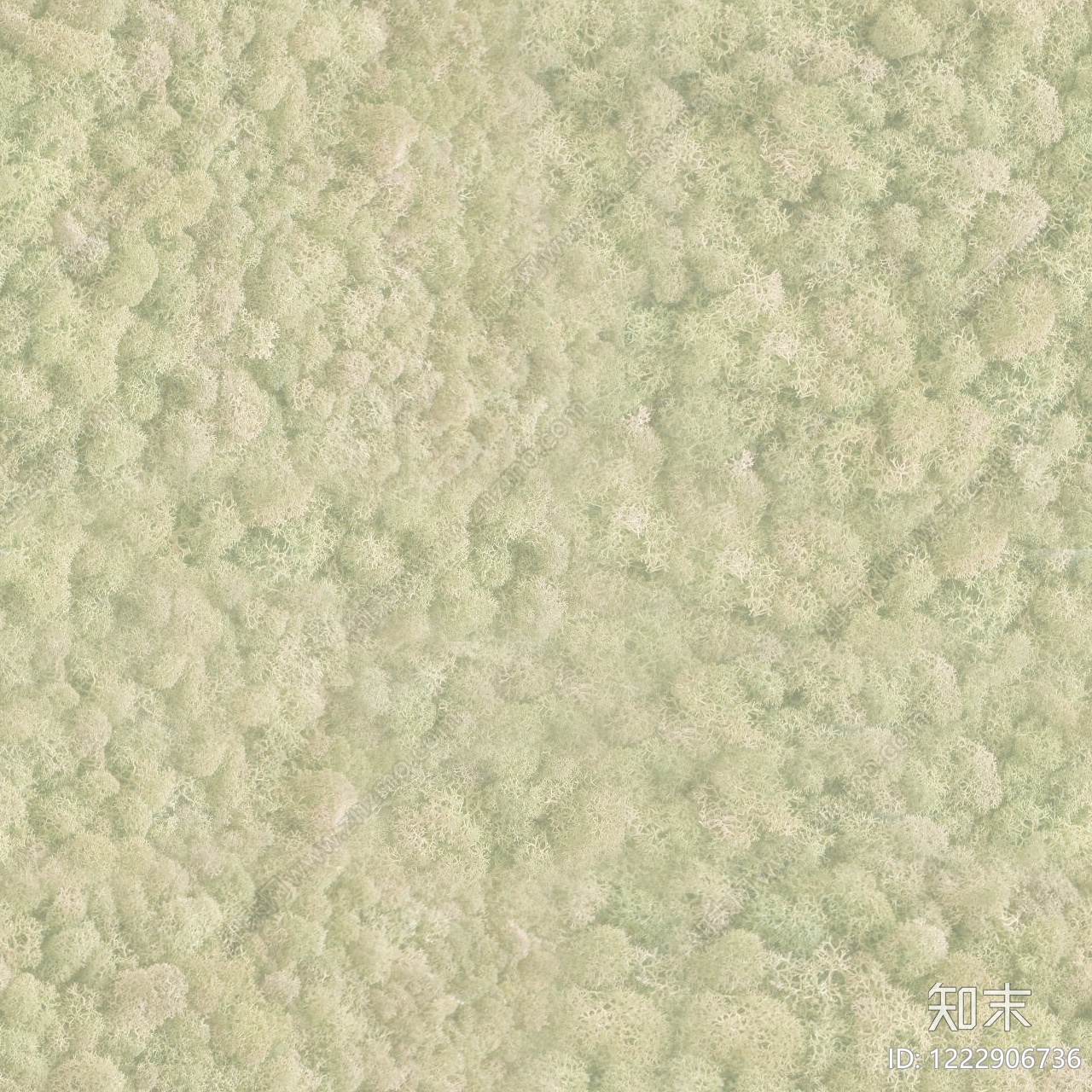 稻草漆贴图下载【ID:1222906736】