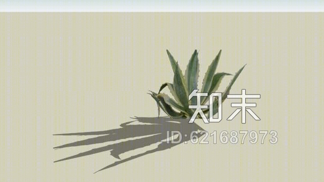 龙舌兰SU模型下载【ID:621687973】