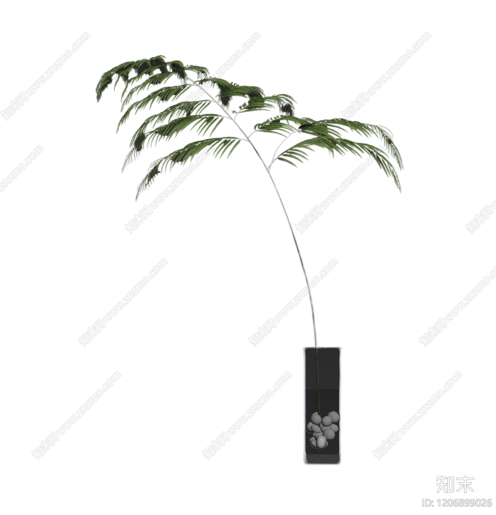 盆栽蕨类植物3D模型下载【ID:1206899026】
