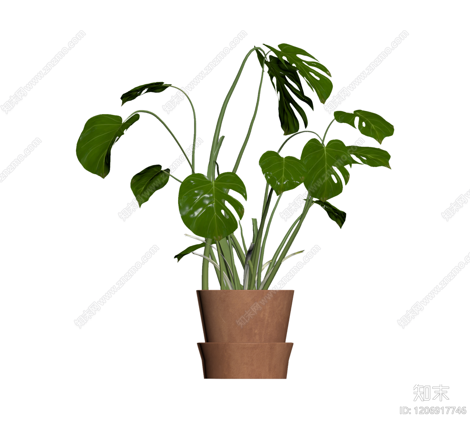 龟背竹盆栽3D模型下载【ID:1206917746】