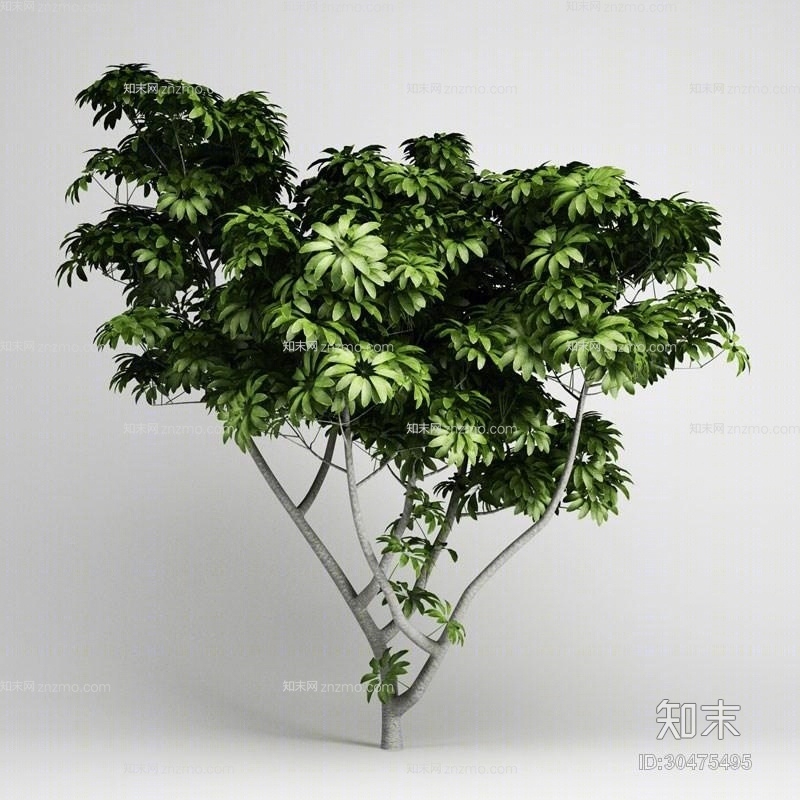 绿色景观树3D模型下载【ID:30475495】