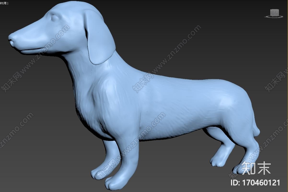 辣肠狗Dachshund_t3d打印模型下载【ID:170460121】