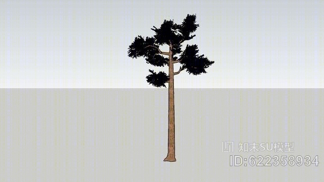 松树的3DSU模型下载【ID:622358934】