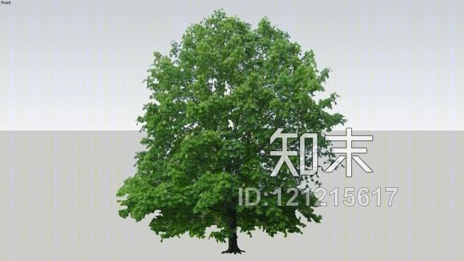 板栗树SU模型下载【ID:121215617】
