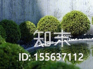 现代球形植物3D模型下载【ID:155637112】