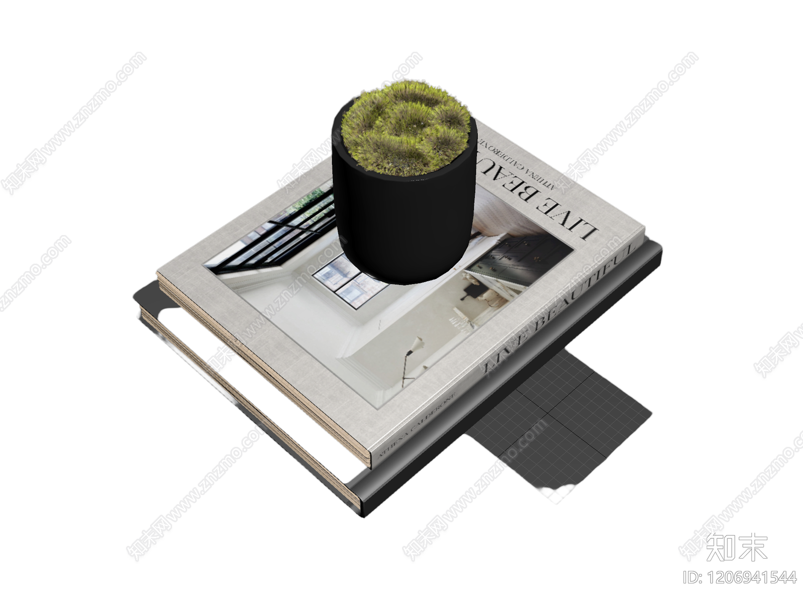 盆栽植物装饰品3D模型下载【ID:1206941544】