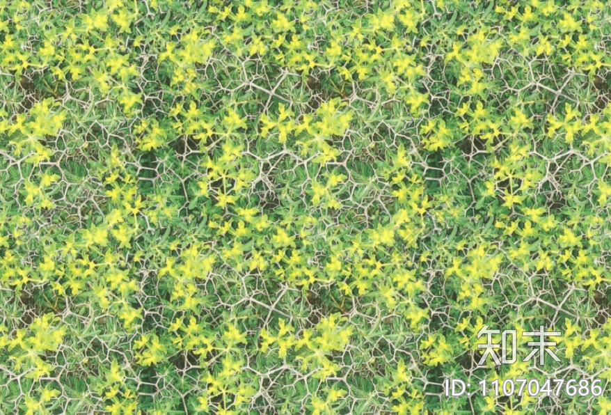 草地8下载【ID:1107047686】