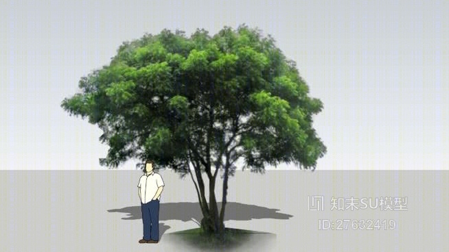 树SU模型下载【ID:27632419】