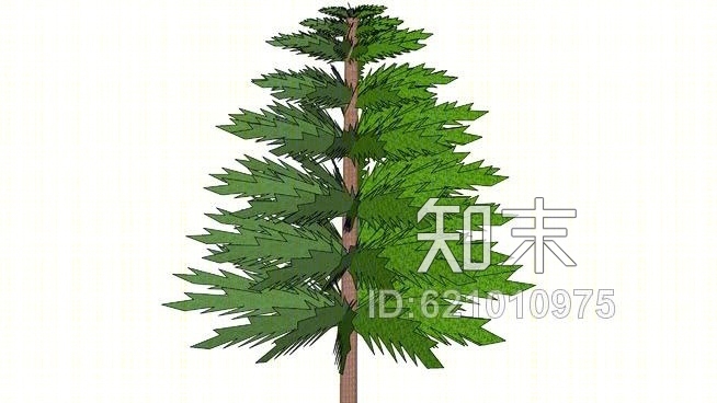 松树在3SU模型下载【ID:621010975】