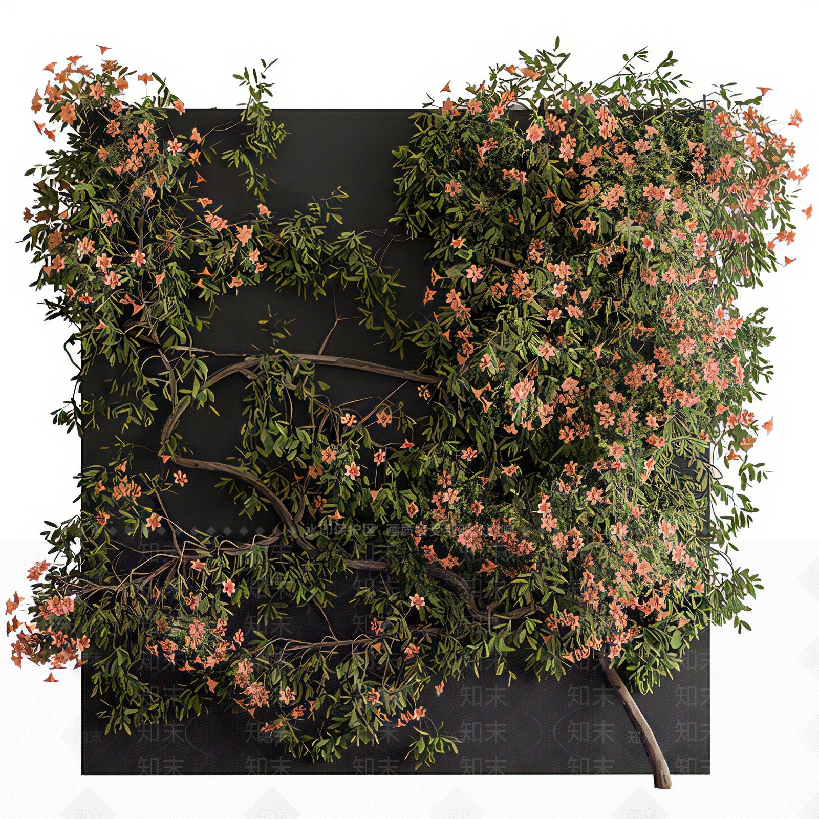 石榴花植物墙3D模型下载【ID:1118021705】