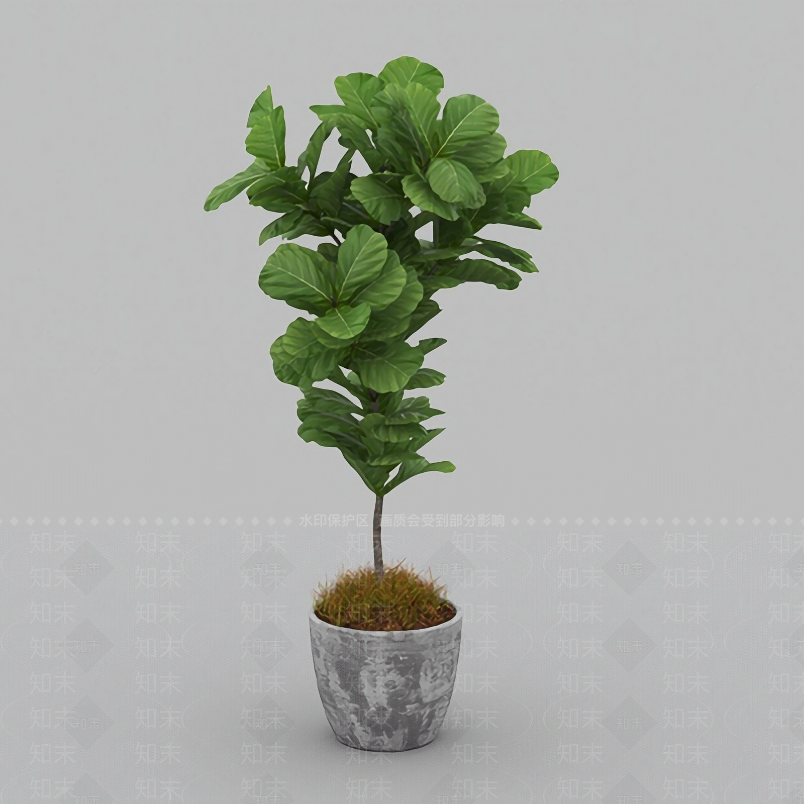 北欧简约绿植盆栽3D模型下载【ID:1125248814】