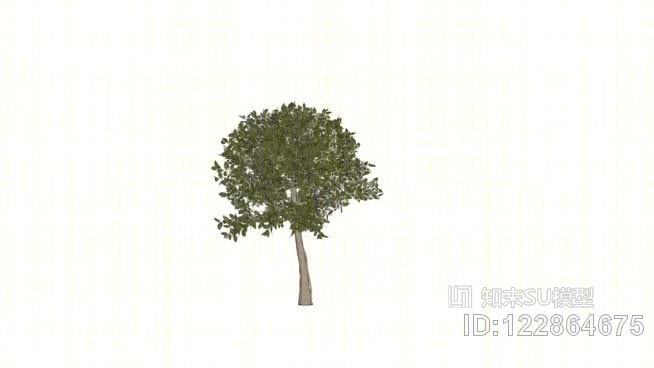 人工榕树SU模型下载【ID:122864675】