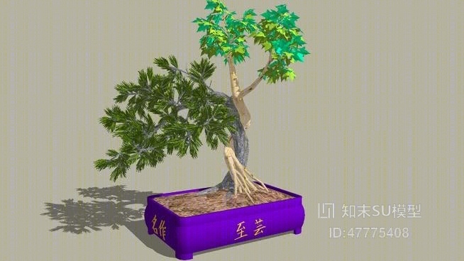 盆栽SU模型下载【ID:47775408】