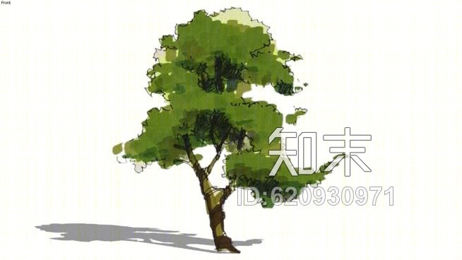 王氏收藏：树2D“面向我”组件SU模型下载【ID:620930971】