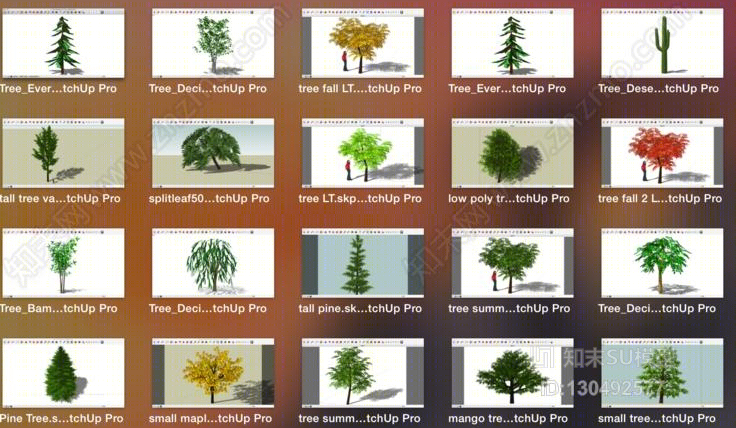 30中景观植物大全SU模型下载【ID:130492577】