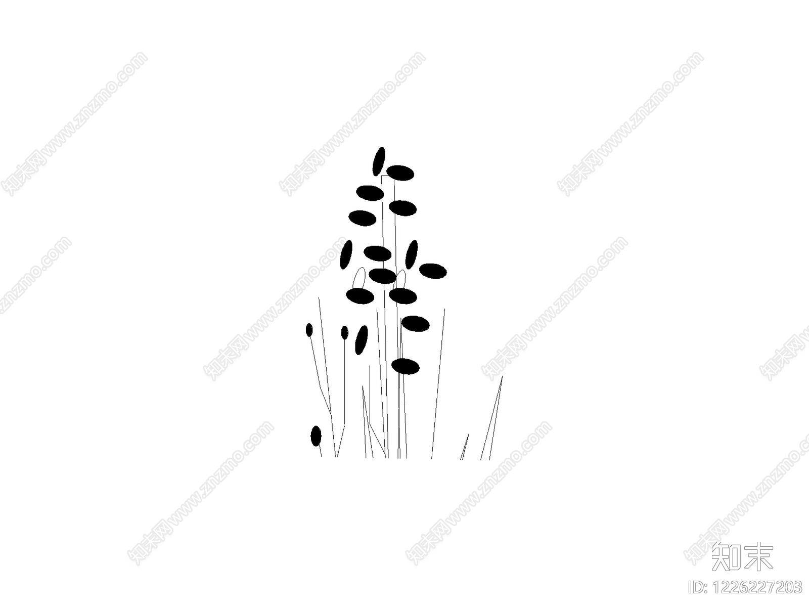 现代水生植物CAD图纸