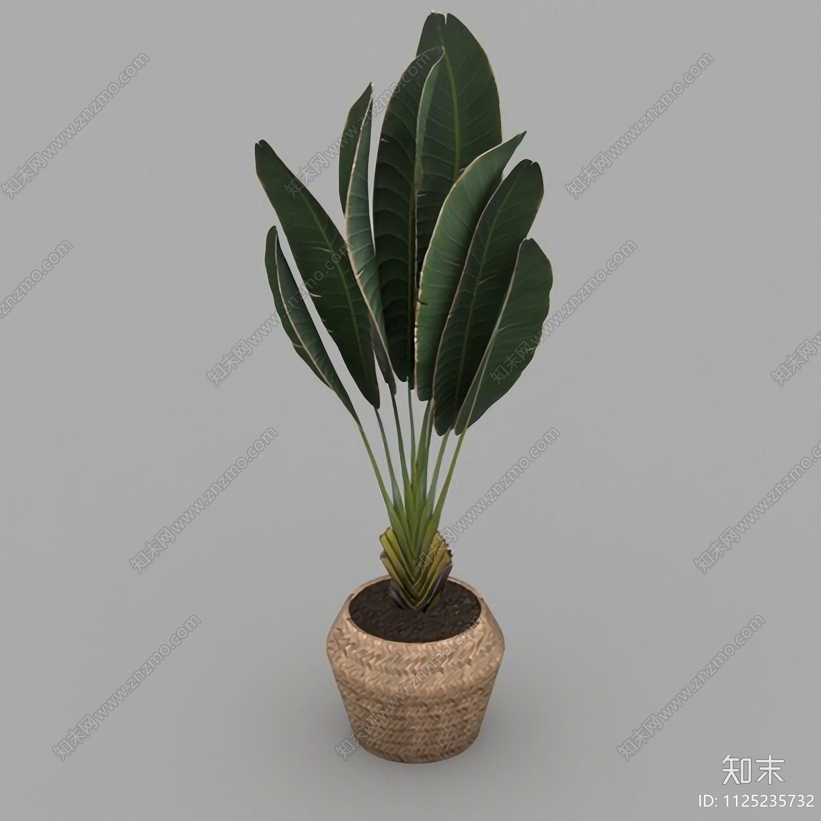 北欧简约绿植盆栽3D模型下载【ID:1125235732】