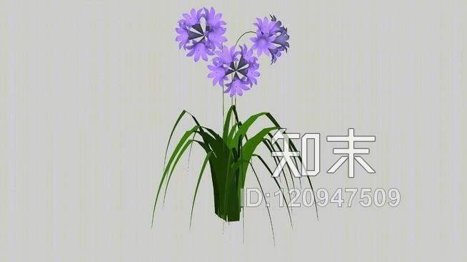藿香SU模型下载【ID:120947509】