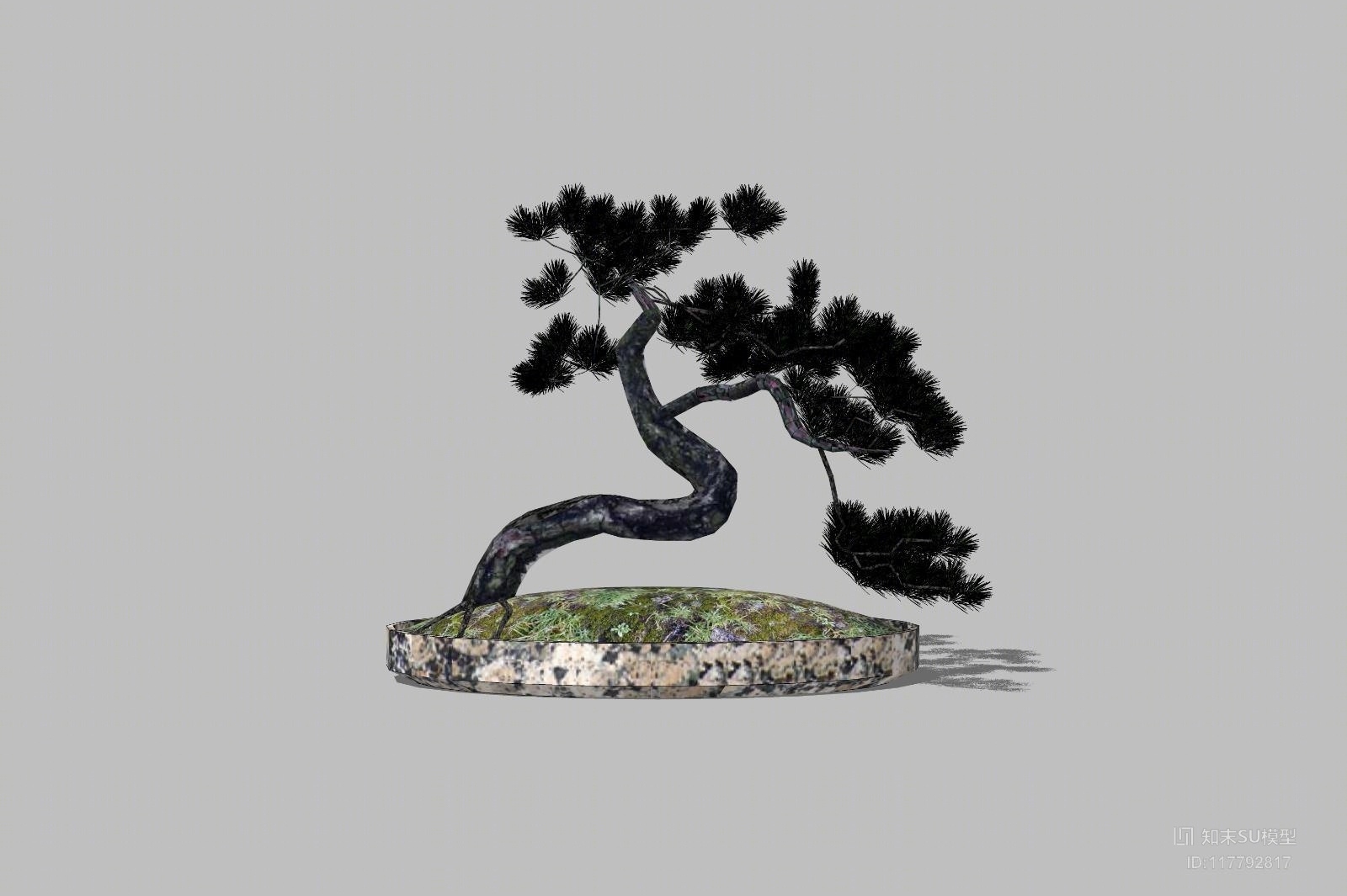 盆栽SU模型下载【ID:117792817】