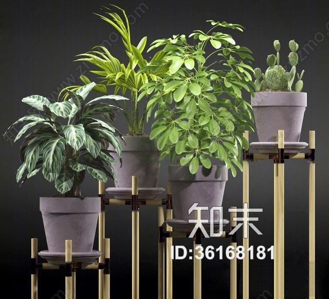 现代仙人掌银皇后绿植盆栽组合3D模型下载【ID:36168181】