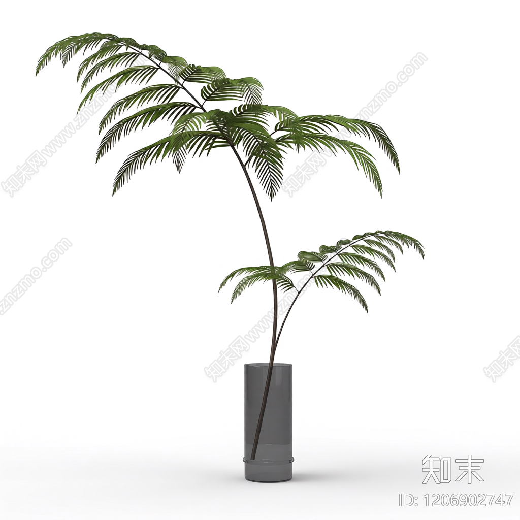 盆栽蕨类植物装饰3D模型下载【ID:1206902747】