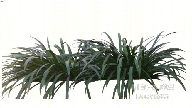 草SU模型下载【ID:219291108】