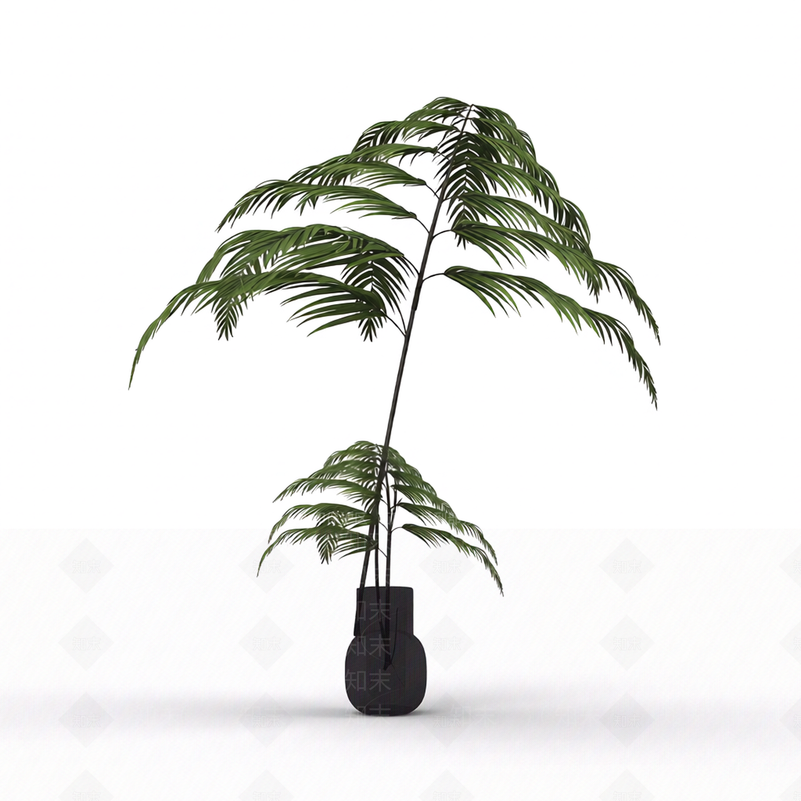 带盆绿色蕨类植物3D模型下载【ID:1206194455】